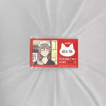 봄바람의 에트랑제 명함 카드 하시모토 슈