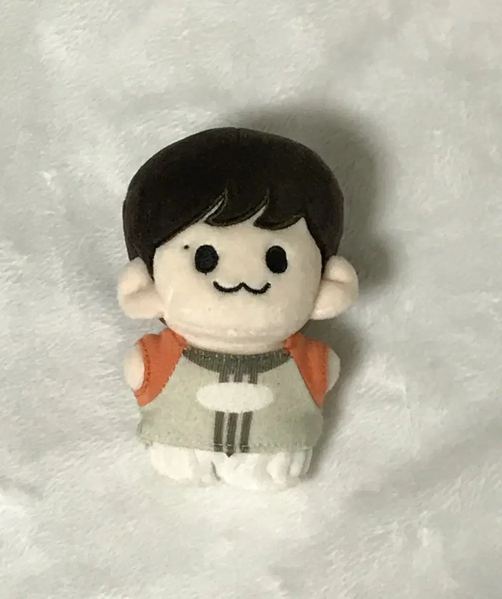(Half-priced Delivery included) The Boyz zuu doll Ijubam, Jubam wts