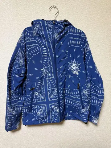 THE NORTH FACE 마운틴 후드티 블루 페이즐리 무늬