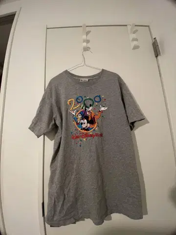 WALTDisneyWorld 월트디즈니월드 티셔츠