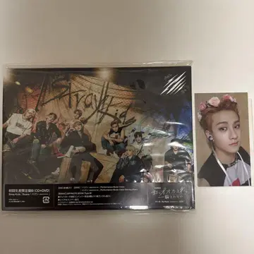Stray Kids 스키즈 솔릭 방찬
