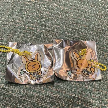 팬쿵 가챠가챠 txt