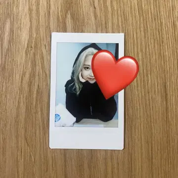 나카가와 신 폴라로이드