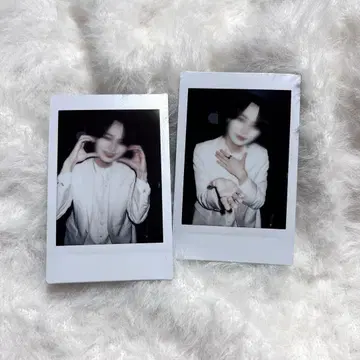 라부시쿠 타로 폴라로이드