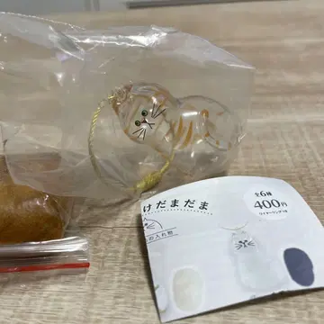 우리 아이의 털뭉치