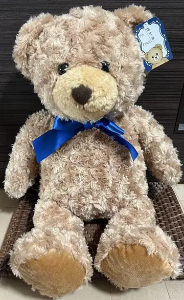 55cm 테디베어