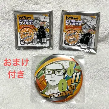 하이큐 츠키시마 케이 아크릴 미니 피규어 컬렉션 캔뱃지 3종