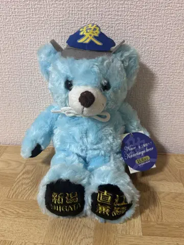 스카이블루 곰 봉제 인형 니가타 나오에 켄스쿠