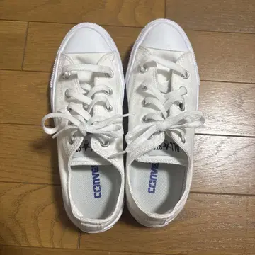 컨버스 로우 컷 23cm