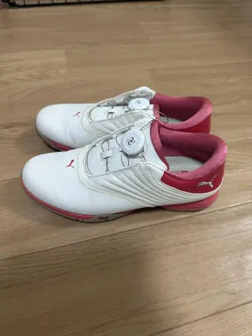 Puma 골프화 여성용 화이트/핑크 PUMA 188667-02