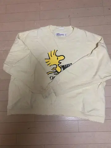 DAIRIKU 21SS WOODSTOCK 콜라보 맨투맨