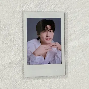 DMD LINEUP 2025 랜덤 폴라로이드 TeeTee 군