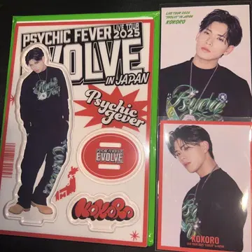 코나미즈 EVOLVE 아크릴 스탠드 포토 카드 세트