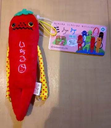 현지 모케케 딸기 시즈오카현