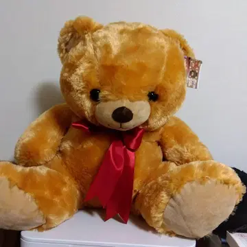My CuteBear Super Jumbo 봉제 인형 50cm