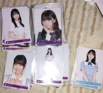 사카미치 시리즈 아이돌 포트레이트 사진 세트 CD 포함 161장