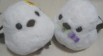 후쿠후쿠 시마연가 컬러풀 플라워 봉제 인형 시마에 시마짱