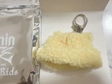 stray kids 스키즈 포가리 보아 캡 필릭스
