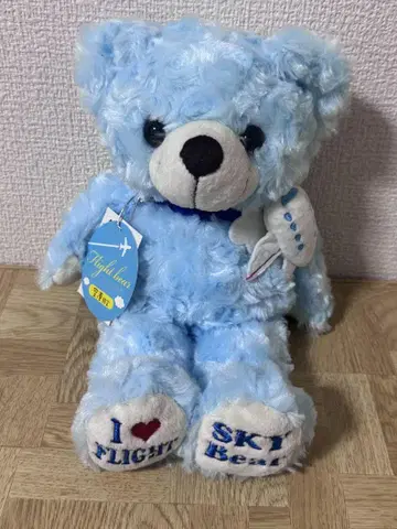 스카이블루 봉제 인형  지역 특산품 베어  공항