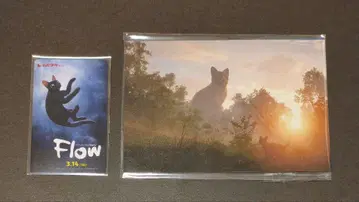 영화 Flow 기사용 무비티켓 예매 혜택 오리지널 엽서 세트