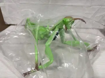 거대 사마귀 MANTIS