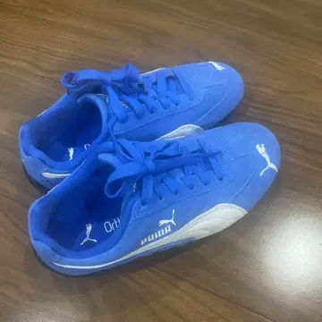 푸마 Speedcat OG BLUE 22cm
