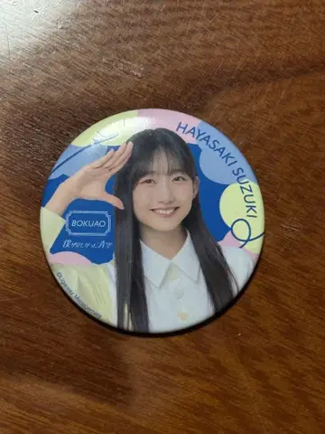 내가 보고 싶었던 파란 하늘 하야사키 스즈키 캔뱃지