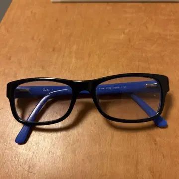 Ray-Ban 블랙/블루 안경