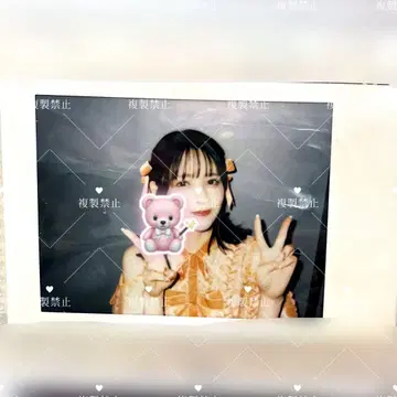 진사이 스즈카 오스즈 폴라로이드 레이스업