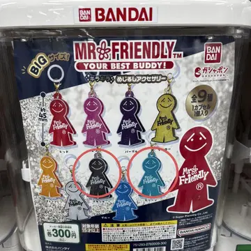 MR.FRIENDLY 미스터 프렌들리 반짝반짝 메지루시 액세서리