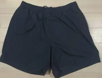 GORE-TEX LABS 배기 숏 팬츠 하프 팬츠 피닉스