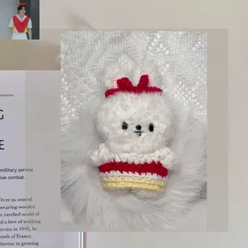 Lee 비트 흠집 straykids 리노 skzoo plush