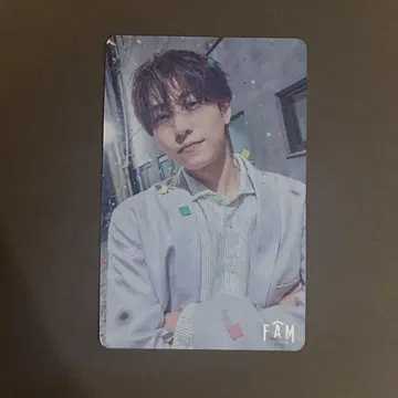 timelesz 트레이딩 카드