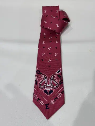 ETRO 에트로 반다나 패턴 넥타이