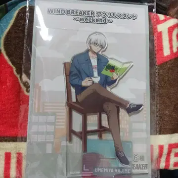 윈브레이커 WIND BREAKER 우메미야 이치