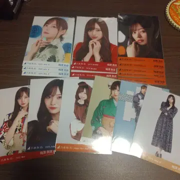 우메자와 미나미 브로마이드