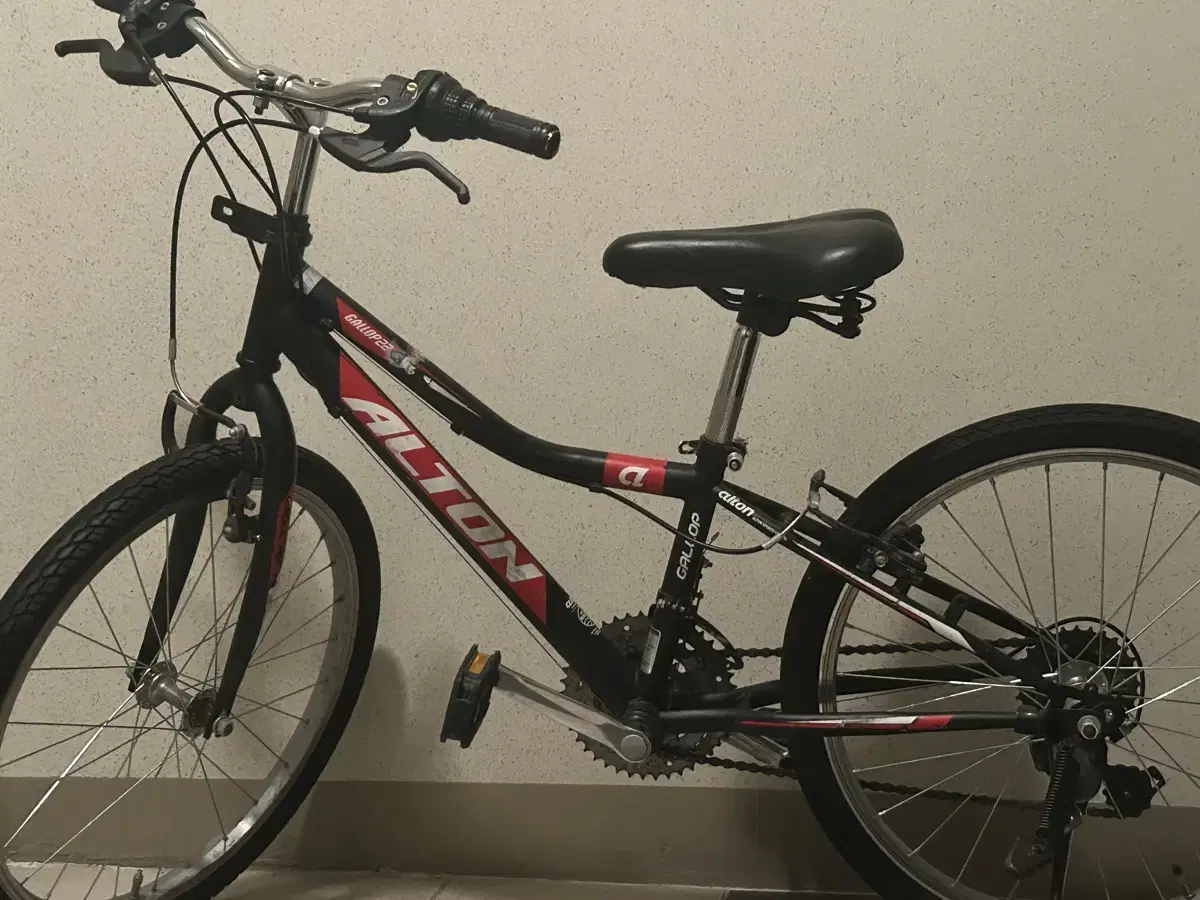 Alton Gallup 24-inch Kids Bicycle