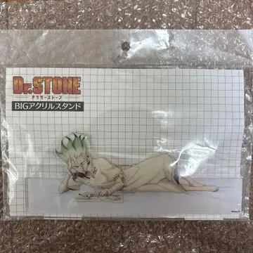 Dr.STONE 이시가미 치쿠루이 아크릴 스탠드
