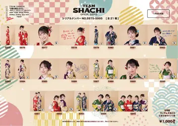 TEAM SHACHI 브로마이드 컴프 세트