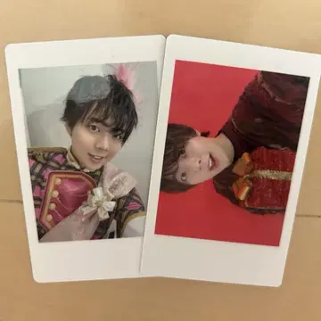 팬더 드래곤 파라곤 하피카 나기