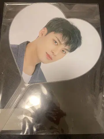 세부치 민규 부채 케렌 carat land 2020 하트