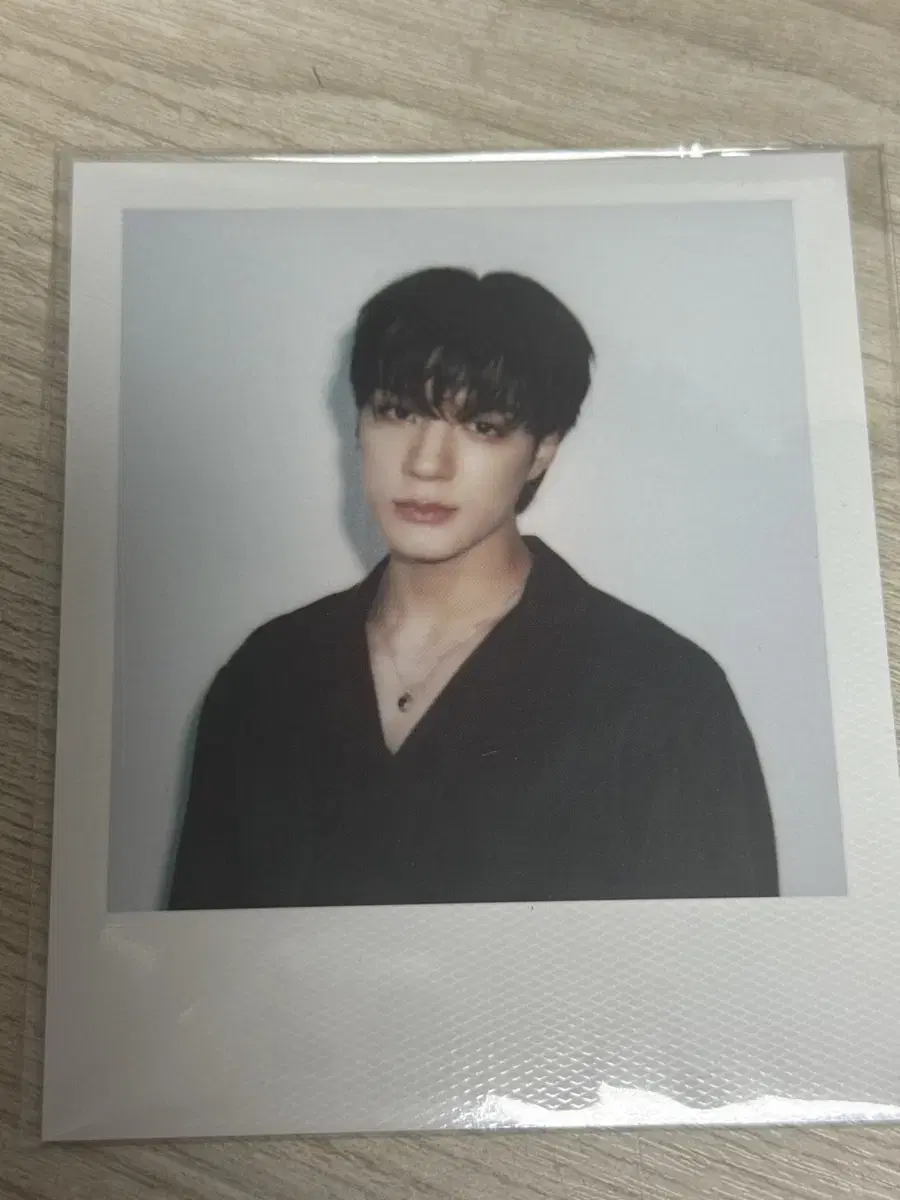 제노 시그 폴라 판매
