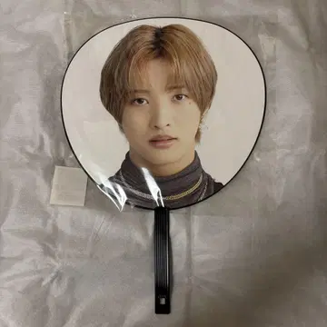 IMP. 사토 신 개인 부채