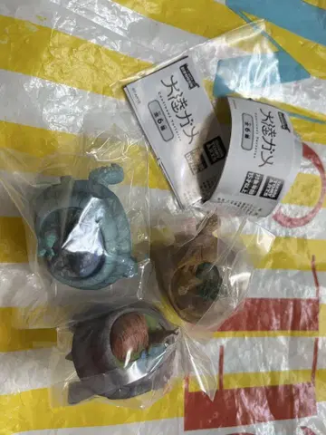 대륙 거북 3종 가챠