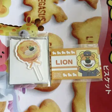 타베코 동물 도쿄역 팝업 아크릴 키링 라이온군