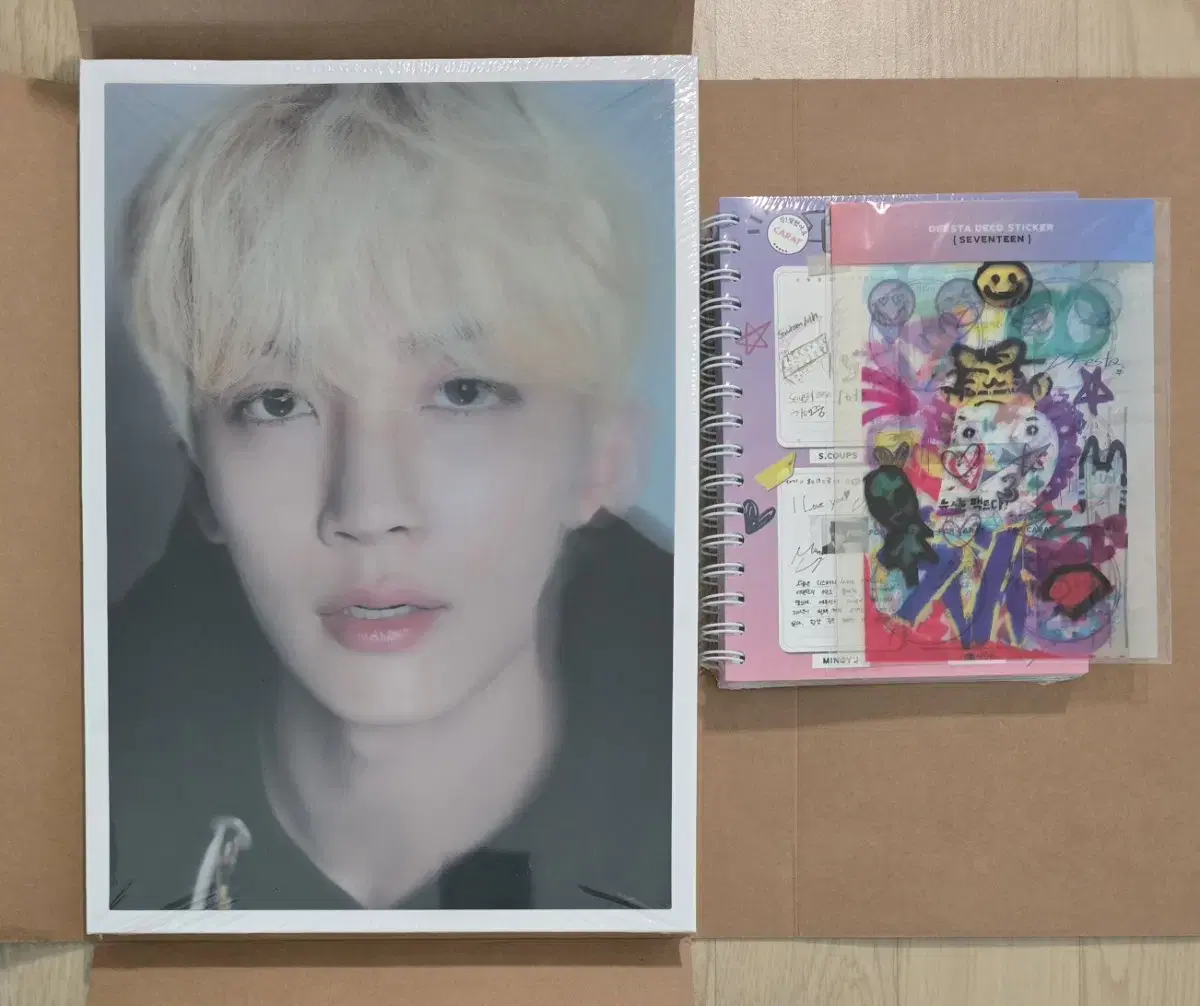 세븐틴 디페스타 디아이콘 정한 포토북 판매합니다.