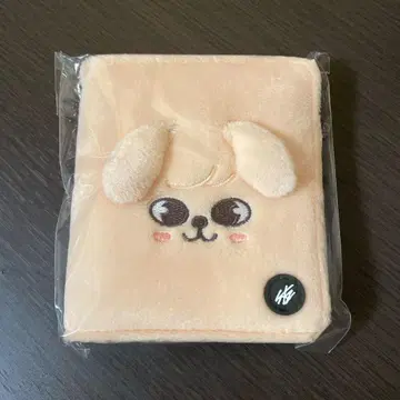 스키즈 포토 카드 케이스 승민
