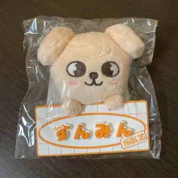 스키즈 네임 백 참 승민