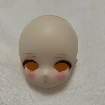 tinyfox 딜러 제작 커스텀 헤드 1/6 인형