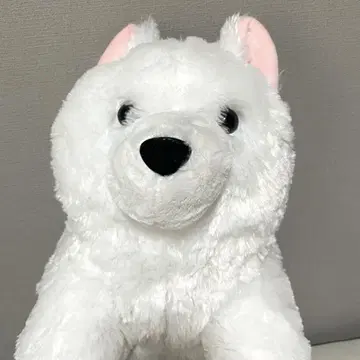 쿠타리 사모에도 군 울트라 BIG 봉제 인형